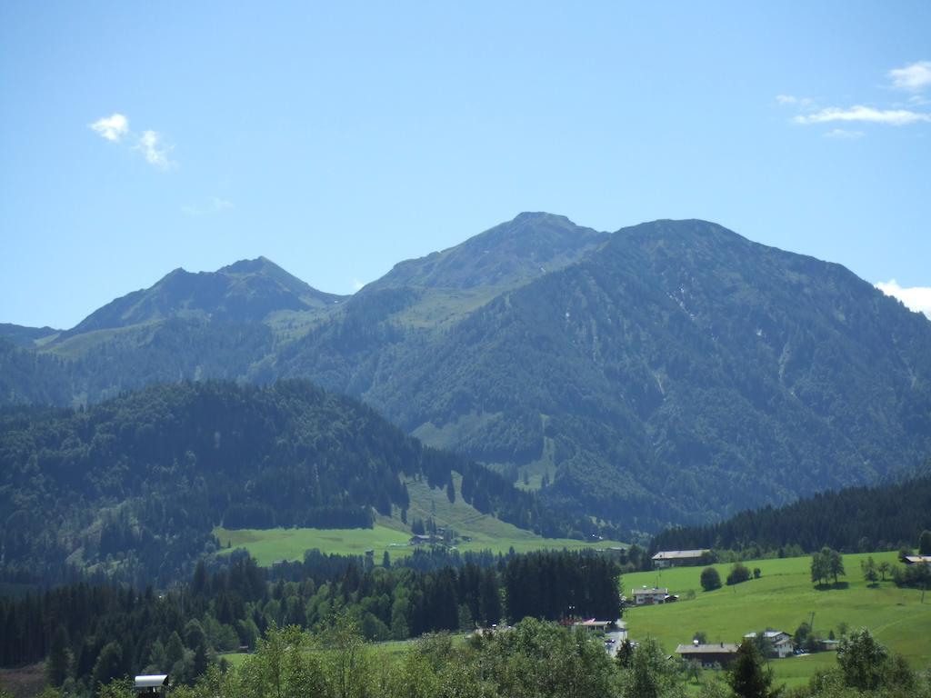Ferienwohnungen Niederacher Fieberbrunn Dış mekan fotoğraf